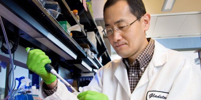 Yamanaka-pipette-660x330